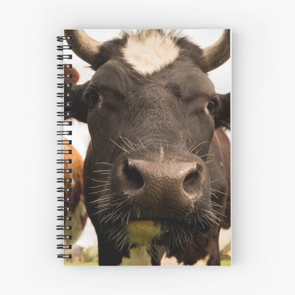 Item preview, Curious Black and White Cow Close Up Photography designed and sold by StSDigs.