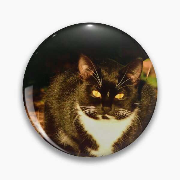 Item preview, Tuxedo Cat in Dappled Light designed and sold by MercerImages.