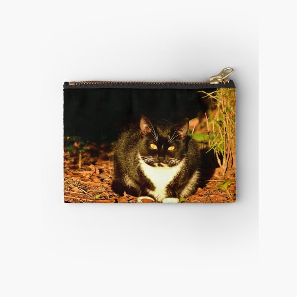Item preview, Tuxedo Cat in Dappled Light designed and sold by MercerImages.