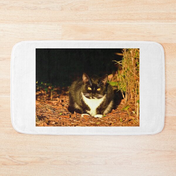 Item preview, Tuxedo Cat in Dappled Light designed and sold by MercerImages.