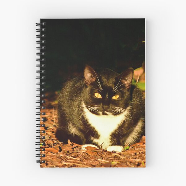 Item preview, Tuxedo Cat in Dappled Light designed and sold by MercerImages.