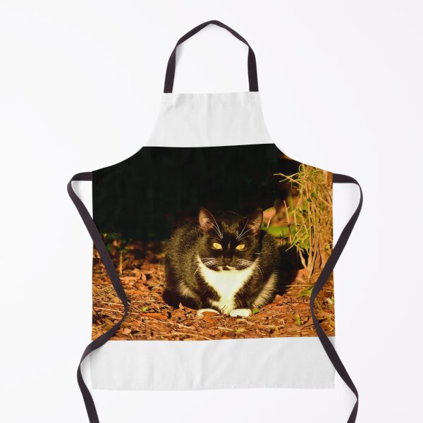 Item preview, Tuxedo Cat in Dappled Light designed and sold by MercerImages.
