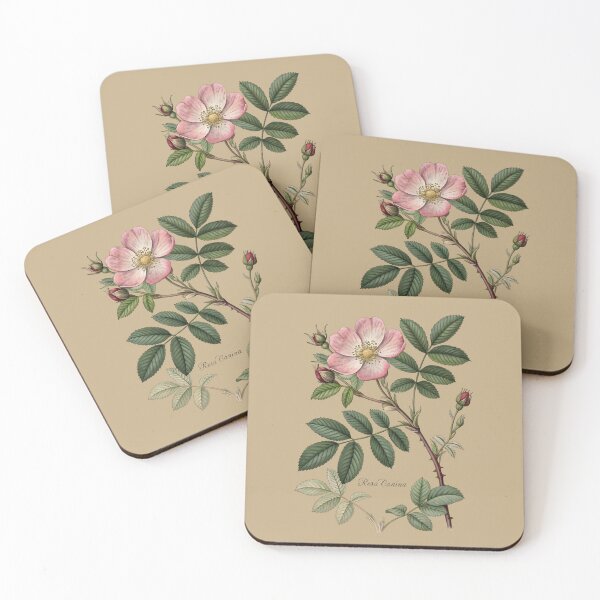 Item preview, Vintage Wild Rose Botanical Print – Antique Herbarium Rosa Canina  Art designed and sold by zaina.sho.