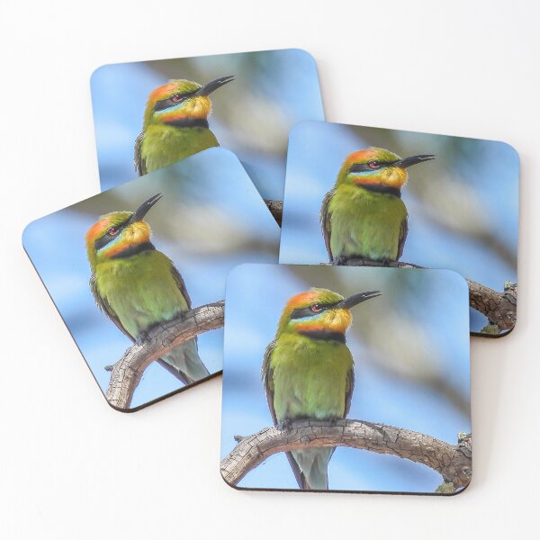 Item preview, Rainbow Bee-eater designed and sold by Kathie Thomas.