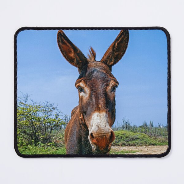 Item preview, Donkey head close up designed and sold by Photopat.