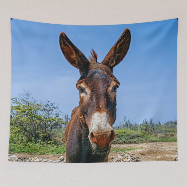 Item preview, Donkey head close up designed and sold by Photopat.