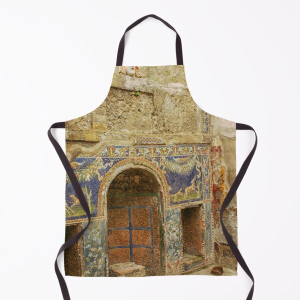 Item preview, The atrium of the House of Neptune and Amphitrite. 1st century at Herculaneum designed and sold by Photopat.