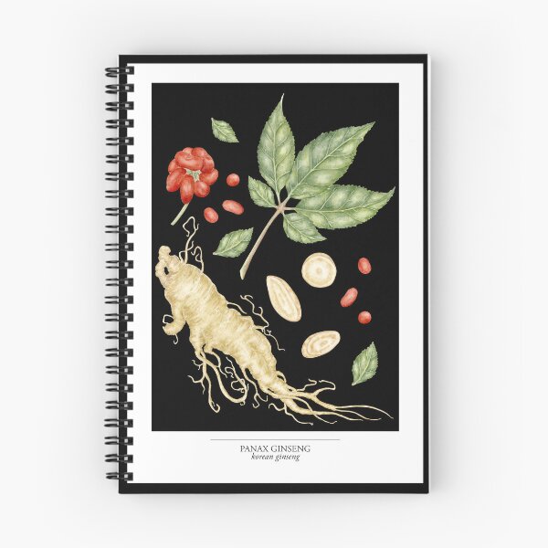 Item preview, Panax Ginseng Botanical Illustration – Korean Ginseng Root | Dark Academia Art (blaclk) designed and sold by paintingbetween.
