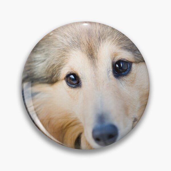 Item preview, Shetland Sheepdog Portrait designed and sold by katifinell.