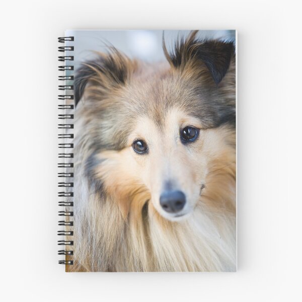 Item preview, Shetland Sheepdog Portrait designed and sold by katifinell.