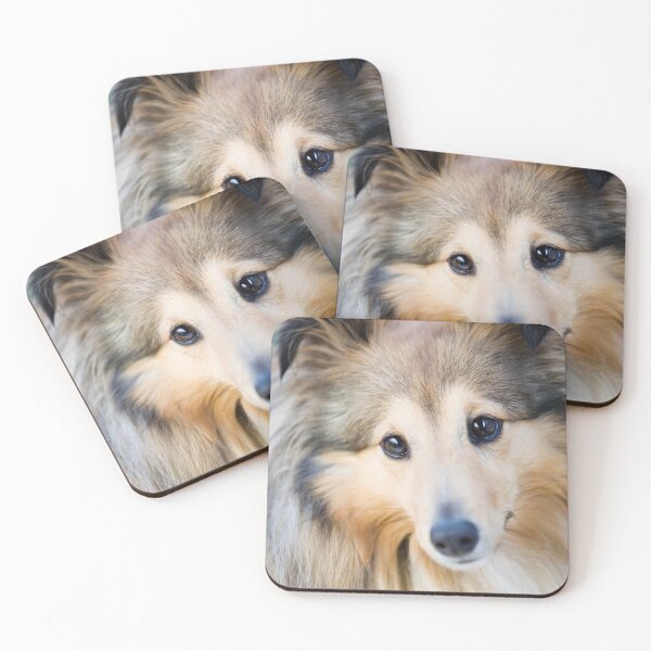 Item preview, Shetland Sheepdog Portrait designed and sold by katifinell.
