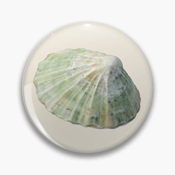 Item preview, Common Limpet (Patella vulgata) - Intertidal Field Notes, Plate 003 designed and sold by AhojAnezkaAhoj.