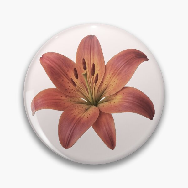 Item preview, peach orange lily flower sticker designed and sold by inainart.