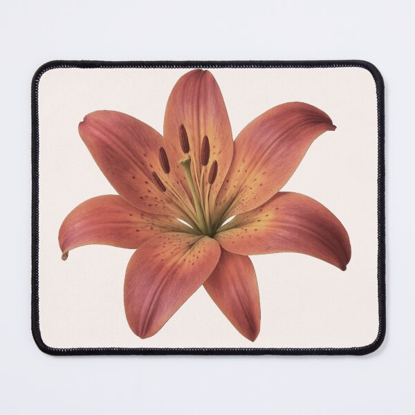 Item preview, peach orange lily flower sticker designed and sold by inainart.