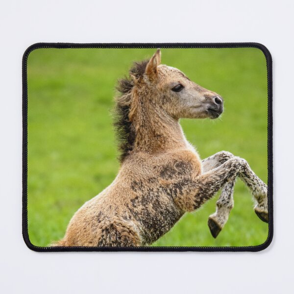 Item preview, The bravado of youth designed and sold by missmoneypenny.