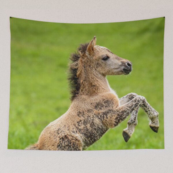 Item preview, The bravado of youth designed and sold by missmoneypenny.