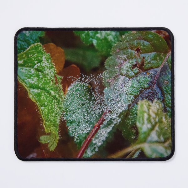 Item preview, Morning Dew Diamonds on Emerald Leaves designed and sold by ShotsbyDesiree.