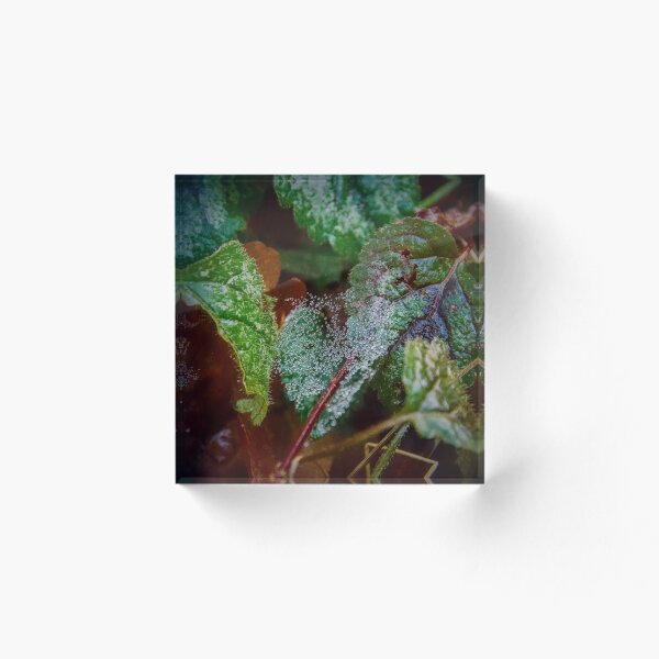 Item preview, Morning Dew Diamonds on Emerald Leaves designed and sold by ShotsbyDesiree.
