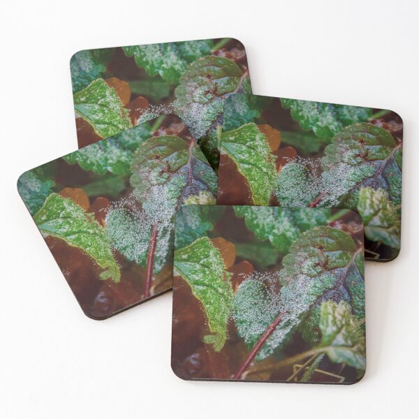 Item preview, Morning Dew Diamonds on Emerald Leaves designed and sold by ShotsbyDesiree.