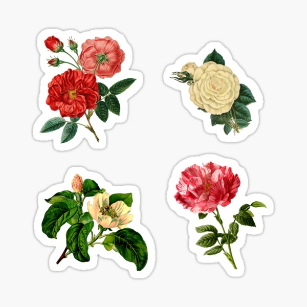 Vintage Roses 02 Sticker Sheet — Sarica Studio