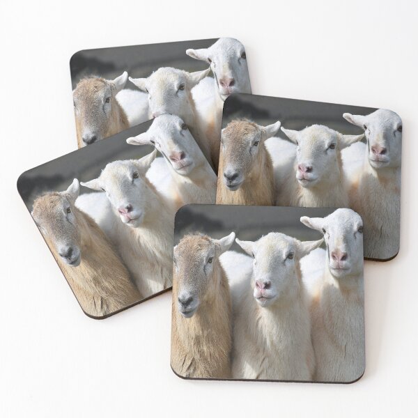 Item preview, THREE EWES designed and sold by SKIP WILLITS FINE ART.