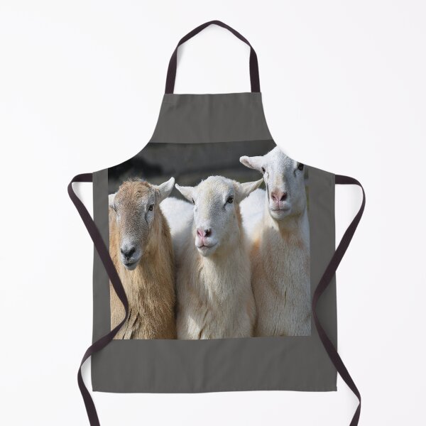 Item preview, THREE EWES designed and sold by SKIP WILLITS FINE ART.