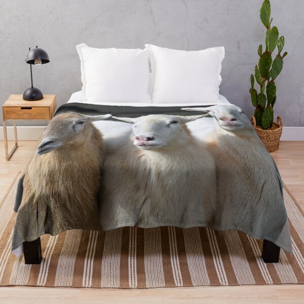 Item preview, THREE EWES designed and sold by SKIP WILLITS FINE ART.