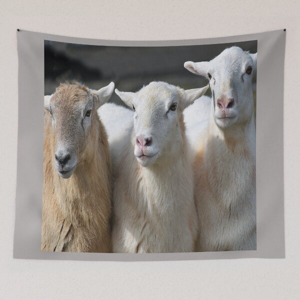 Item preview, THREE EWES designed and sold by SKIP WILLITS FINE ART.