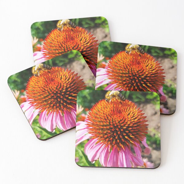 Item preview, Pink Echinacea Flower Close Up designed and sold by BetweenForms.