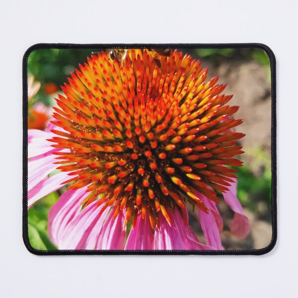 Item preview, Pink Echinacea Flower Close Up designed and sold by BetweenForms.