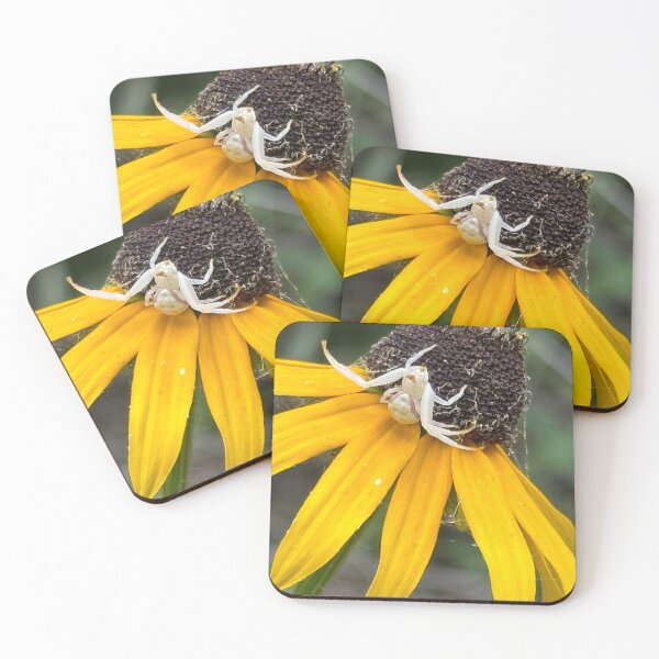Item preview, Crab spider designed and sold by roadwarriorart.