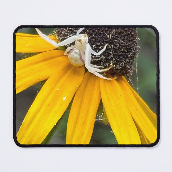 Item preview, Crab spider designed and sold by roadwarriorart.