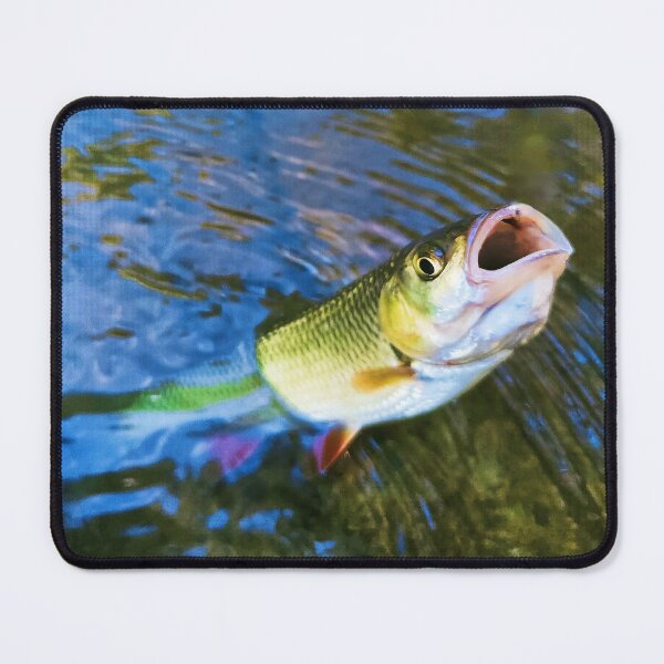 Item preview, Big fish fishing adventure designed and sold by Stefanrajzer.