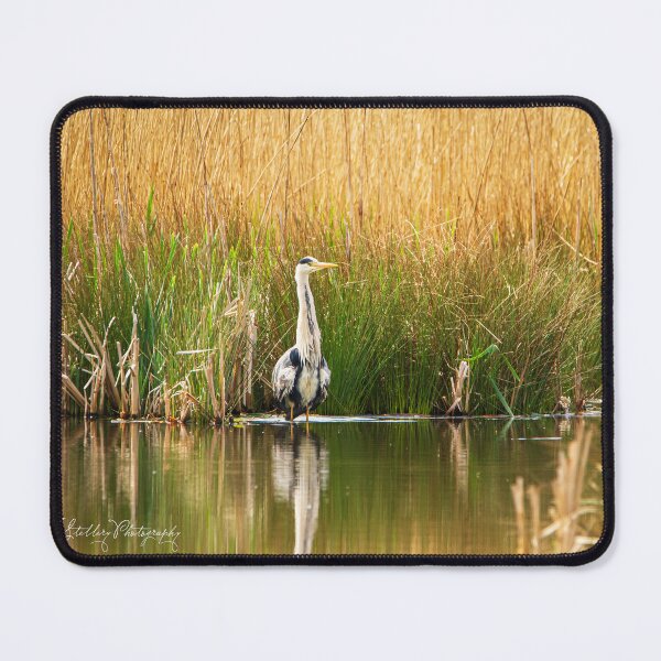 Item preview, Heron on the Lake designed and sold by StelleryART.