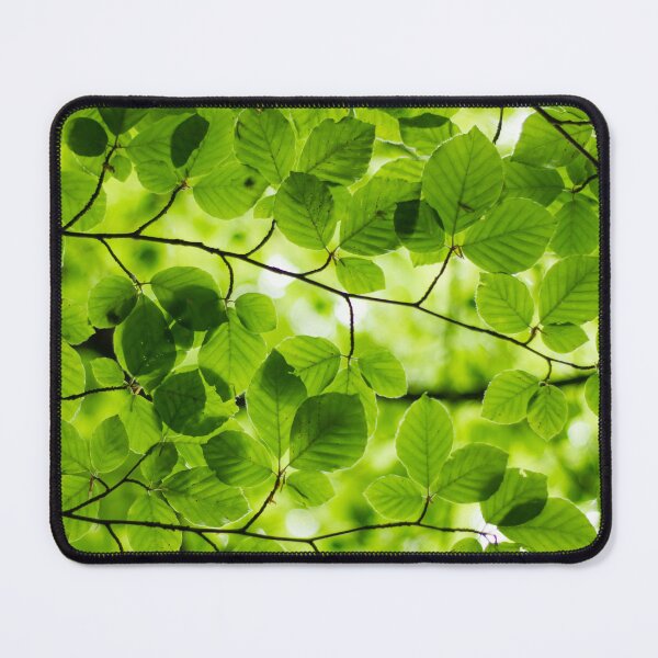 Item preview, Green Leaf Canopy designed and sold by JohnManuelPhoto.
