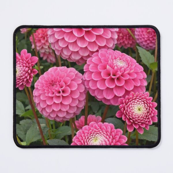 Item preview, Lush Pink Dahlias with Intricate Geometric Petals designed and sold by Dreamy Armine Art.