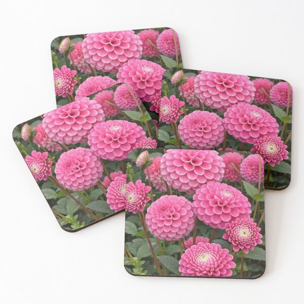 Item preview, Lush Pink Dahlias with Intricate Geometric Petals designed and sold by Dreamy Armine Art.