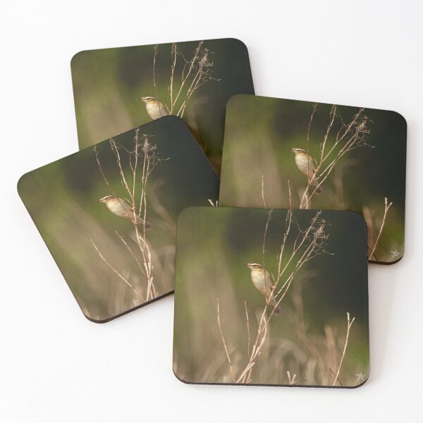 Item preview, Sedge Warbler in the Spring designed and sold by StelleryART.