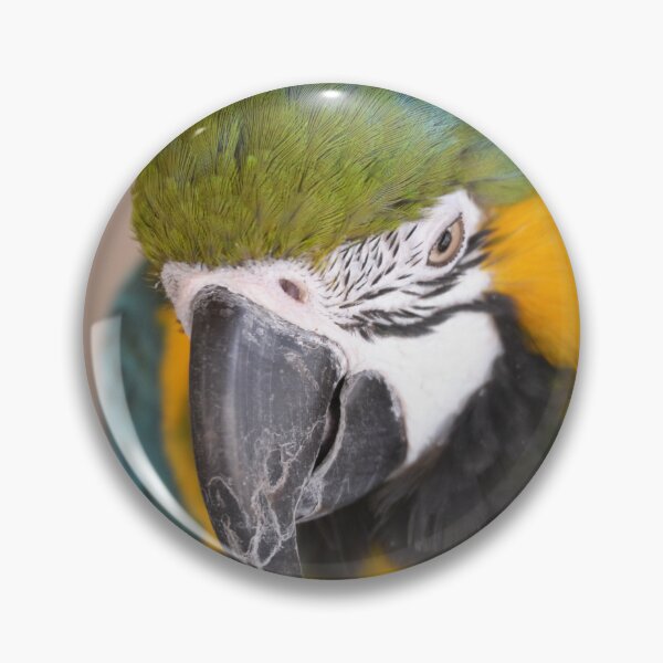 Item preview, Cute Macaw Parrot looking down from perch designed and sold by BarryMayfield.
