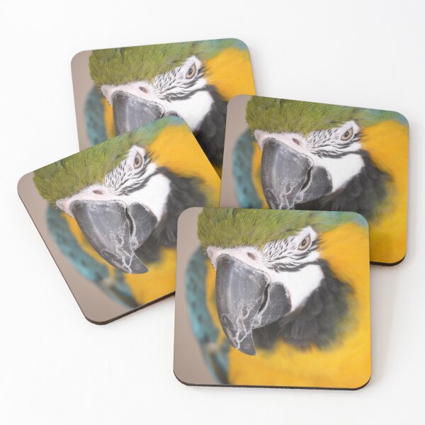 Item preview, Cute Macaw Parrot looking down from perch designed and sold by BarryMayfield.
