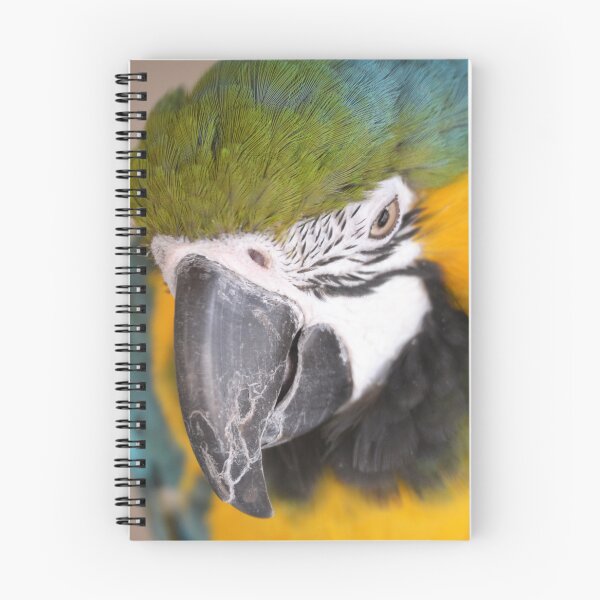Item preview, Cute Macaw Parrot looking down from perch designed and sold by BarryMayfield.