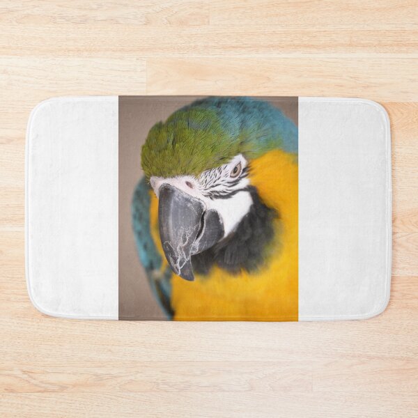 Item preview, Cute Macaw Parrot looking down from perch designed and sold by BarryMayfield.