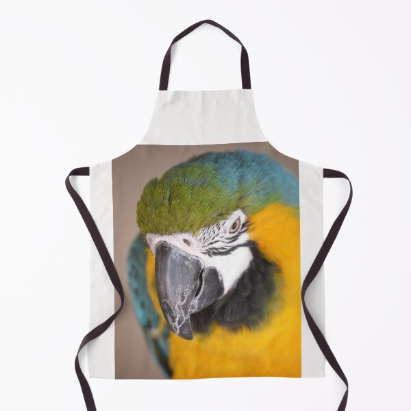 Item preview, Cute Macaw Parrot looking down from perch designed and sold by BarryMayfield.