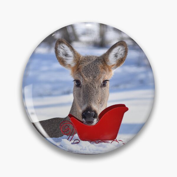 Item preview, Doe eating bird seed out of a sleigh designed and sold by NicoleFrederick.