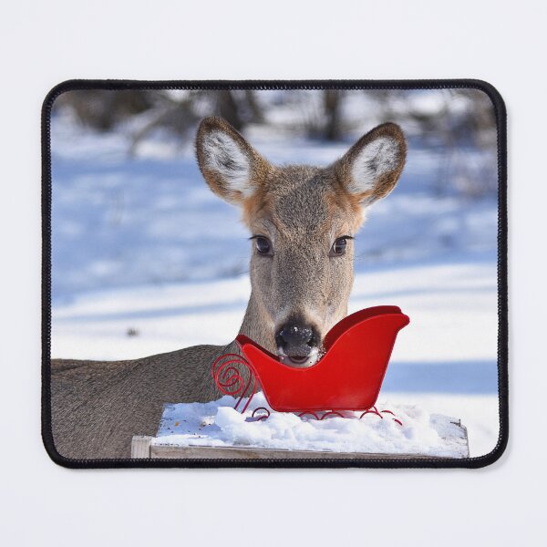 Item preview, Doe eating bird seed out of a sleigh designed and sold by NicoleFrederick.