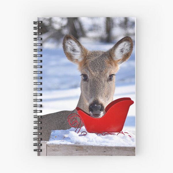 Item preview, Doe eating bird seed out of a sleigh designed and sold by NicoleFrederick.