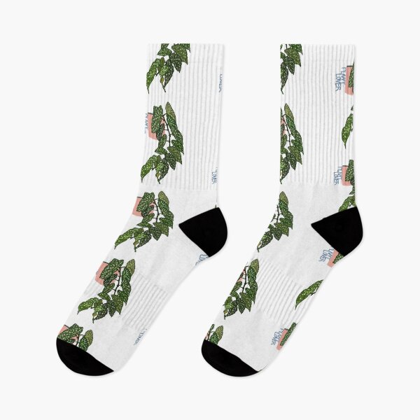 Item preview, Plant Lover Begonia  designed and sold by SaedaAv.