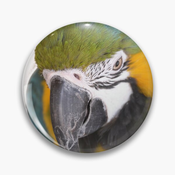 Item preview, Cute Macaw Parrot looking down from perch 2 designed and sold by BarryMayfield.