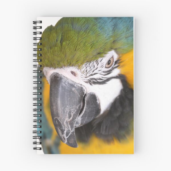 Item preview, Cute Macaw Parrot looking down from perch 2 designed and sold by BarryMayfield.
