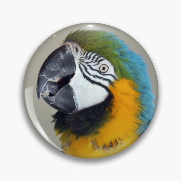 Item preview, Beautiful Macaw Parrot looking at camera designed and sold by BarryMayfield.